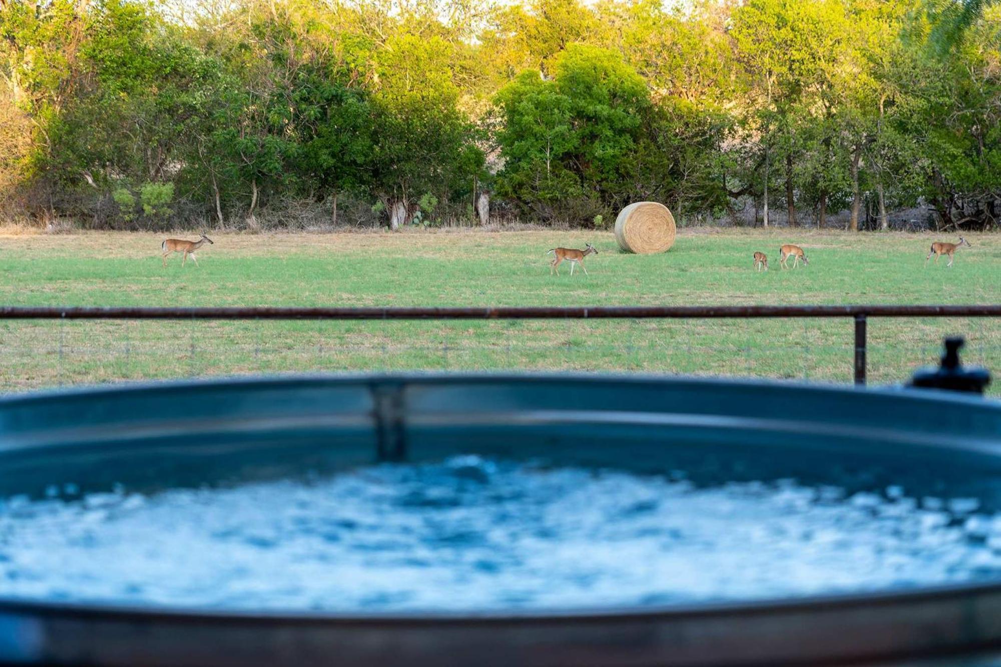 Container Haus Pet Friendly With Cowboy Pool Villa Fredericksburg Buitenkant foto
